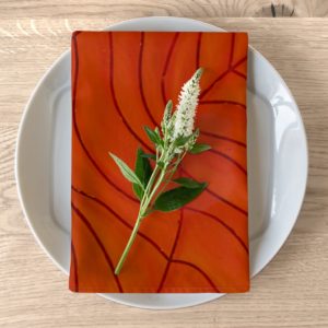 Kat's Orange Napkins